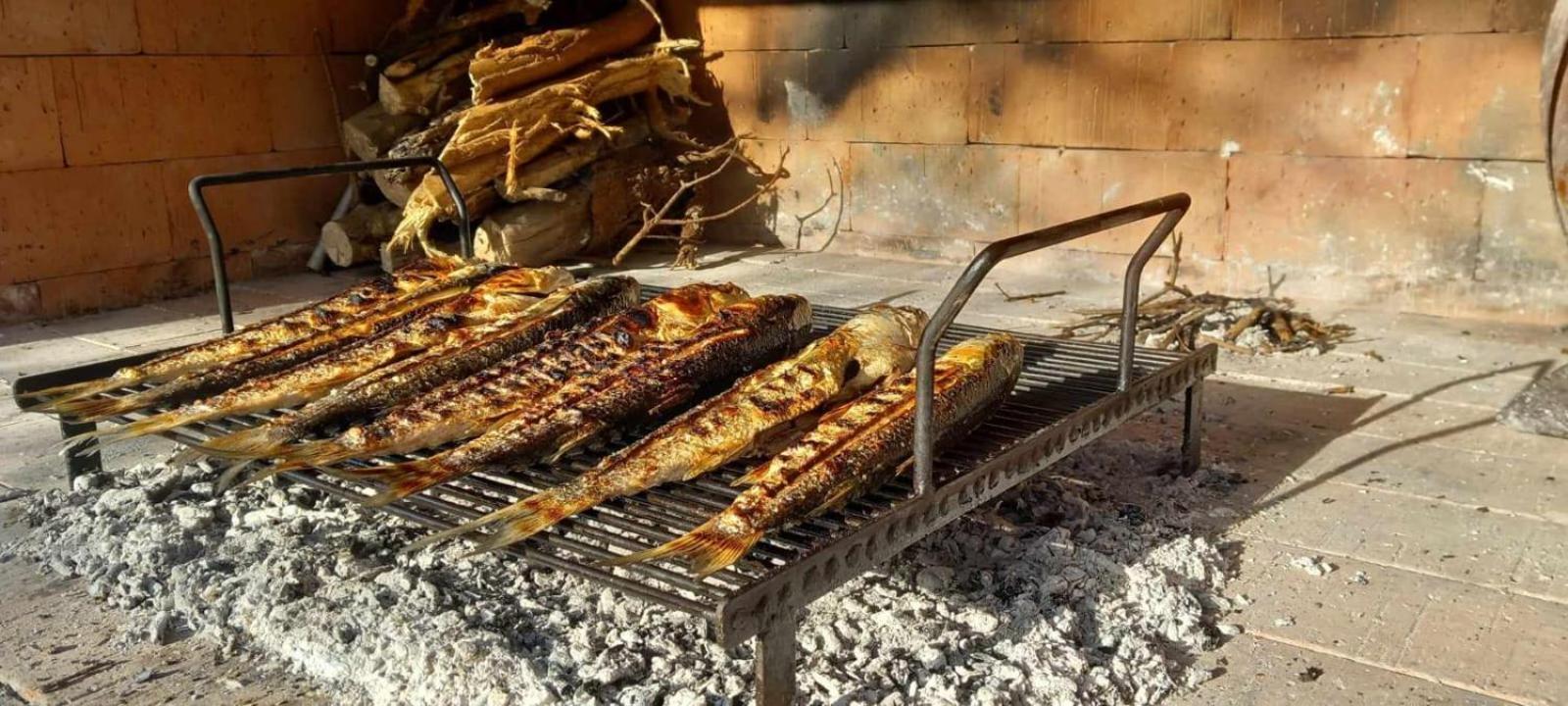Apartman Bojana Appartement Starigrad Paklenica Buitenkant foto