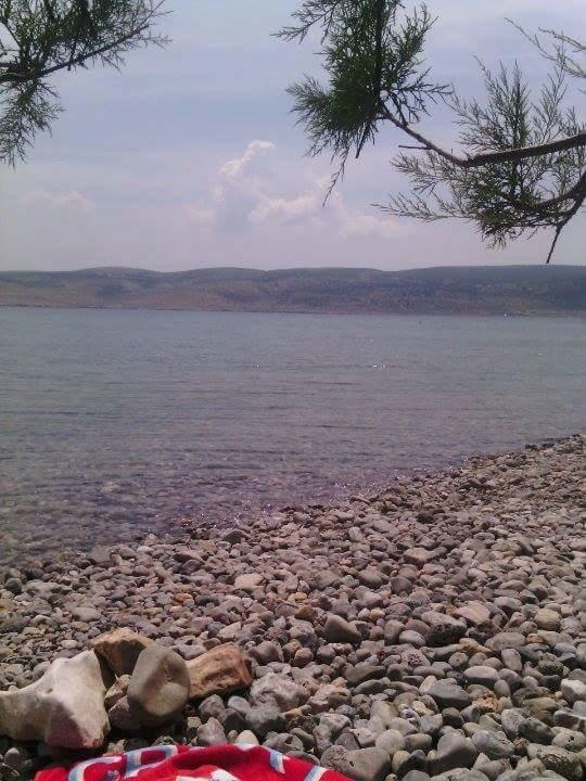Apartman Bojana Appartement Starigrad Paklenica Buitenkant foto